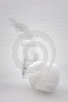 Snowball going downhill - brainstorming concept photo