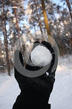 Snowball throwing