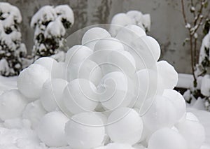 Snowballs photo