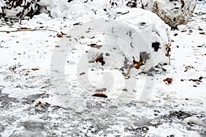 Snowballs from snow with leaves on frozen lawn