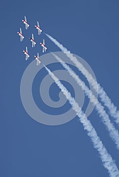 Snowbirds Acrobatic Flight Team