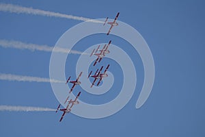 Snowbirds Acrobatic Flight Team