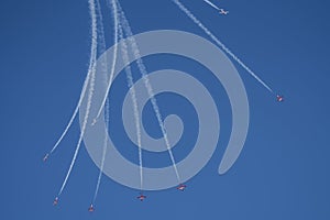 Snowbirds Acrobatic Flight Team