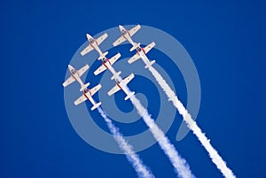 Snowbirds in Flight