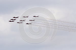 Snowbirds in Flight Canada