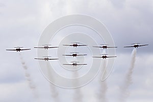 Snowbirds in Flight Canada