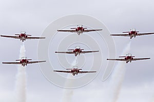 Snowbirds in Flight Canada