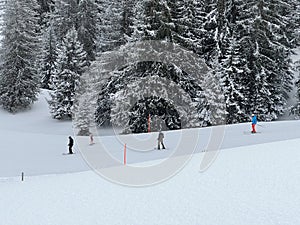 Snowboard and ski trails or alpine trails for winter sports above the tourist resort of Lenzerheide