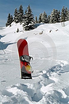 Snowboard stuck in the snow