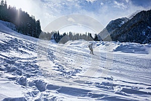 Snowboarder in Bansko photo