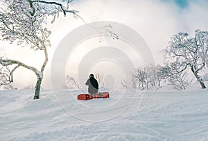 Snowboarder from behind kneeling on snowy mountain