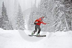Snowboarder female offpiste forest ski slope photo