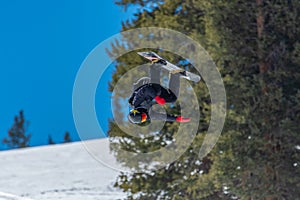 Snowboarder pulling tricks on the Colorado Rockies slopes