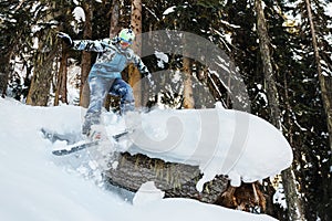 Snowboarder is riding and freeriding in mountain forest
