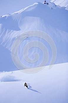 Snowboarder On Slope
