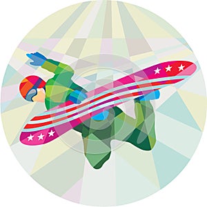 Snowboarder Snowboard Jumping Low Polygon