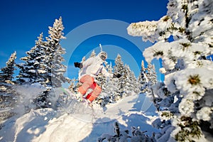 Snowboarder on snowboard rides jumping on fresh snow in forest, dust explosion. Freeride in Alps Ski Resort