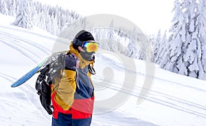 Snowboarder standing at the top of the hill with beautiful snowy trees in the background