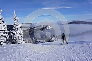 Snowboarder Straps in: Packed Powder at Whitefish Mountain Resort photo