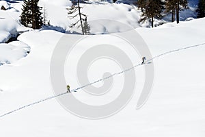 Snowboarders, Cuneaz, Ayas valley (Italy) photo