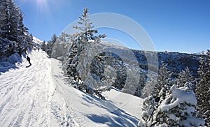 Snowboarding in Bulgaria. Ski resort Borovets photo