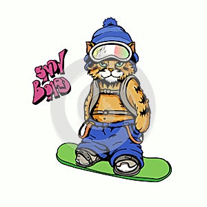 Snowboarding cat. Cool cat on snowboard with abs bag and snow ski mask vector cartoon