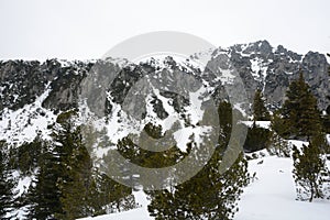 Snowcapped montain in High Tatra