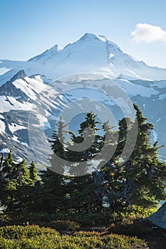 Snowcapped Mount Baker, Ptarmigan Ridge, Washington state Cascades