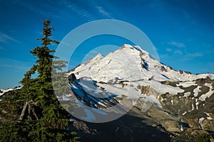 Snowcapped Mount Baker, Ptarmigan Ridge, Washington state Cascades