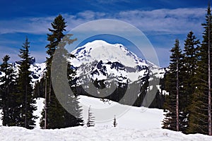 Snowcapped Mount Rainier photo