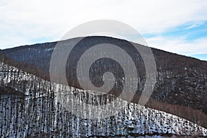 Snowcapped mountains slopes with bare trees