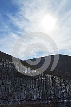 Snowcapped mountains  slopes with bare trees