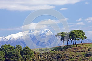 Snowcapped mountains and trees in Spain photo