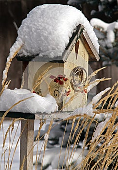 Snowcovered Birdhouse photo