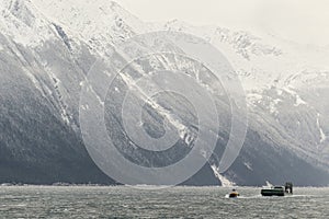 Snowcovered Mountains in Alaska.