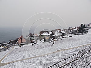 Snowcovered Rivaz in Lavaux during Winter