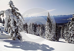 Snowcovered View of Lake Tahoe