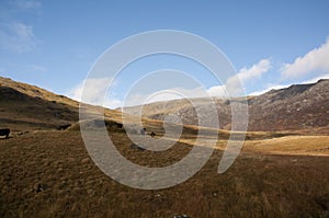 Snowdonia landscape and cattle