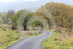 Snowdonia parks road in Spring time.