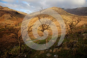 Snowdonia Views