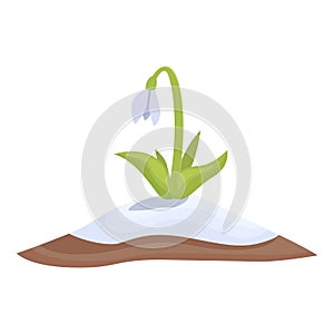 Snowdrop art icon cartoon vector. Spring grass