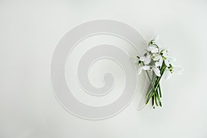 Snowdrop Flower Bouqete islated on White Background