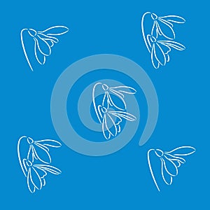 Snowdrop flowers background