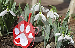 Snowdrop flowers with martenitsa in shape of a dog paw