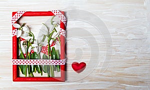 Snowdrop flowers in a red photo frame