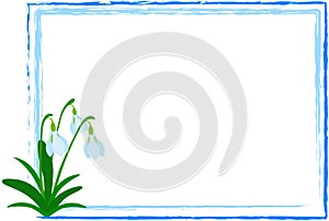 Snowdrop in Frame