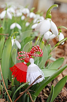 Snowdrop spring flowers with martenitsa. Baba Marta day