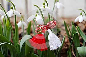 Snowdrop spring flowers with martenitsa. Baba Marta day
