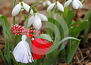 Snowdrop spring flowers with martenitsa. Baba Marta day photo