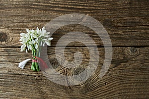 Snowdrops, 1st of March tradition isolated on wooden background